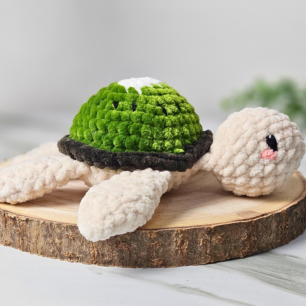 Kiwi-Schildkröte