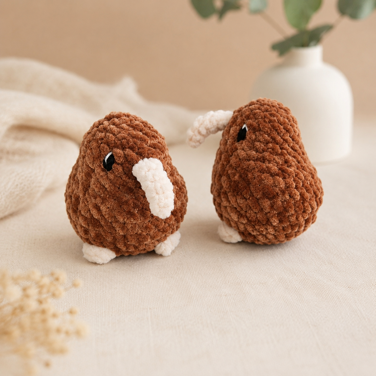 Kiwi Vogel