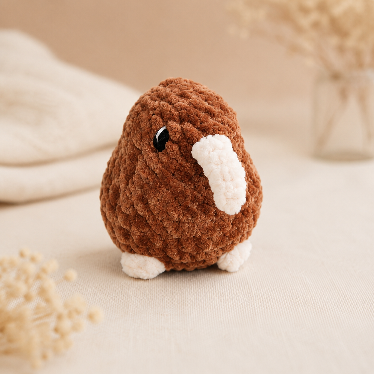 Kiwi Vogel