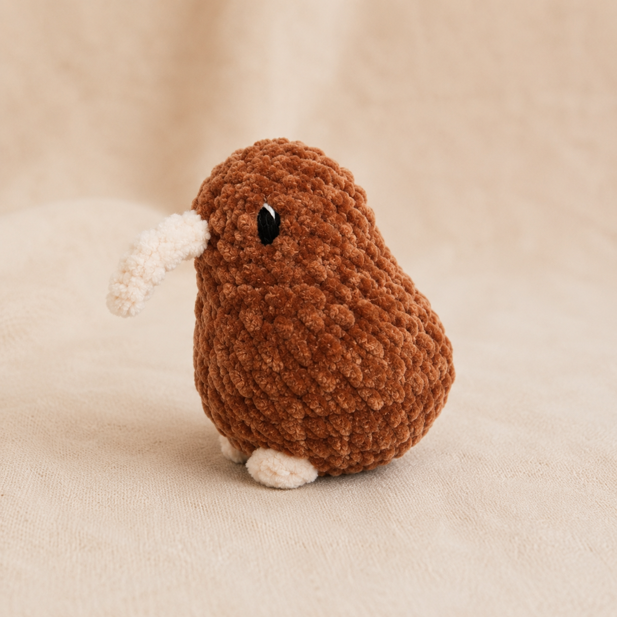 Kiwi Vogel