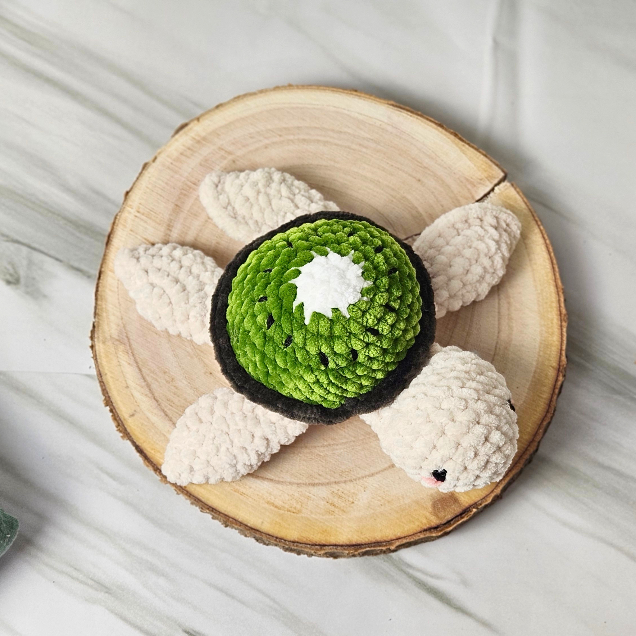 Kiwi-Schildkröte
