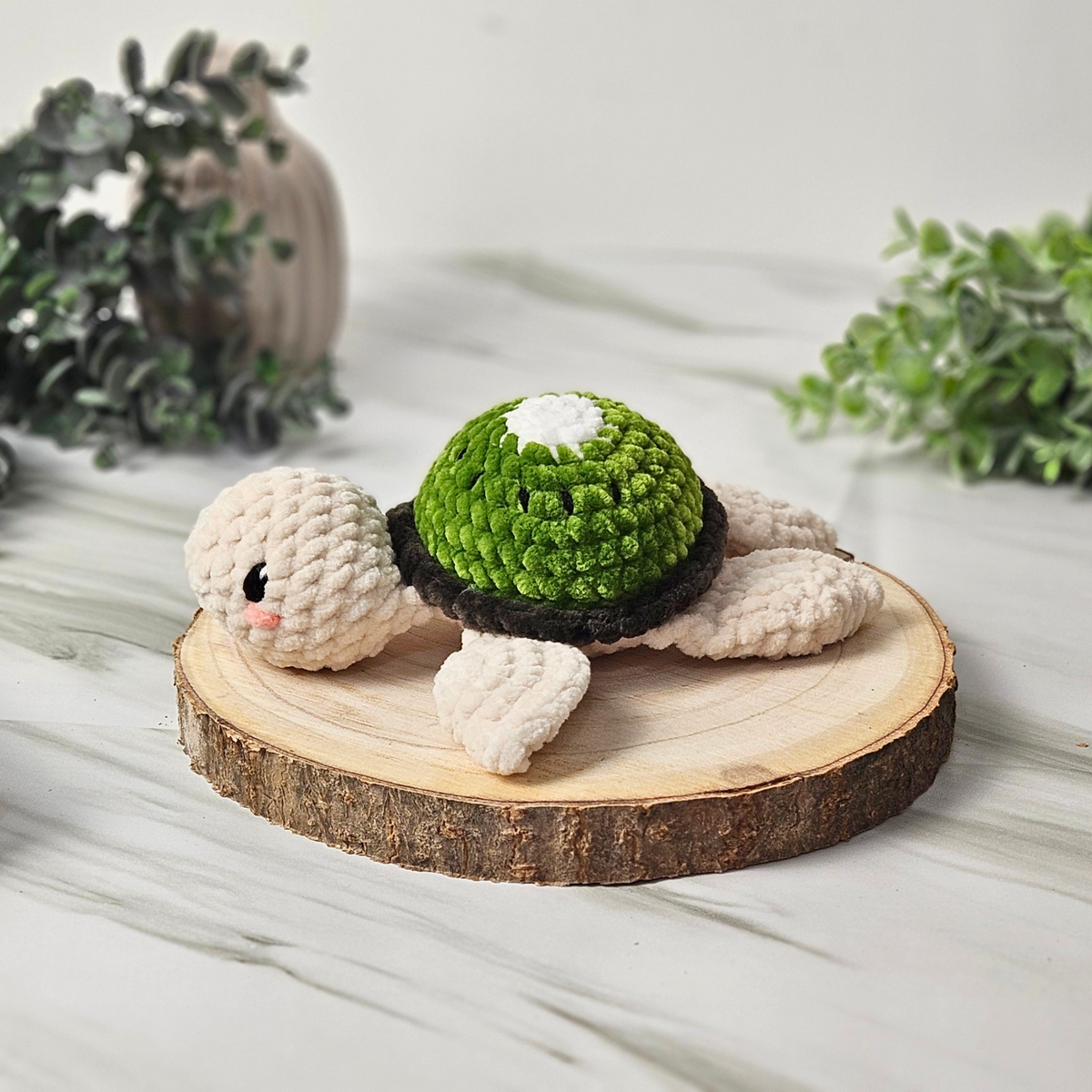 Kiwi-Schildkröte