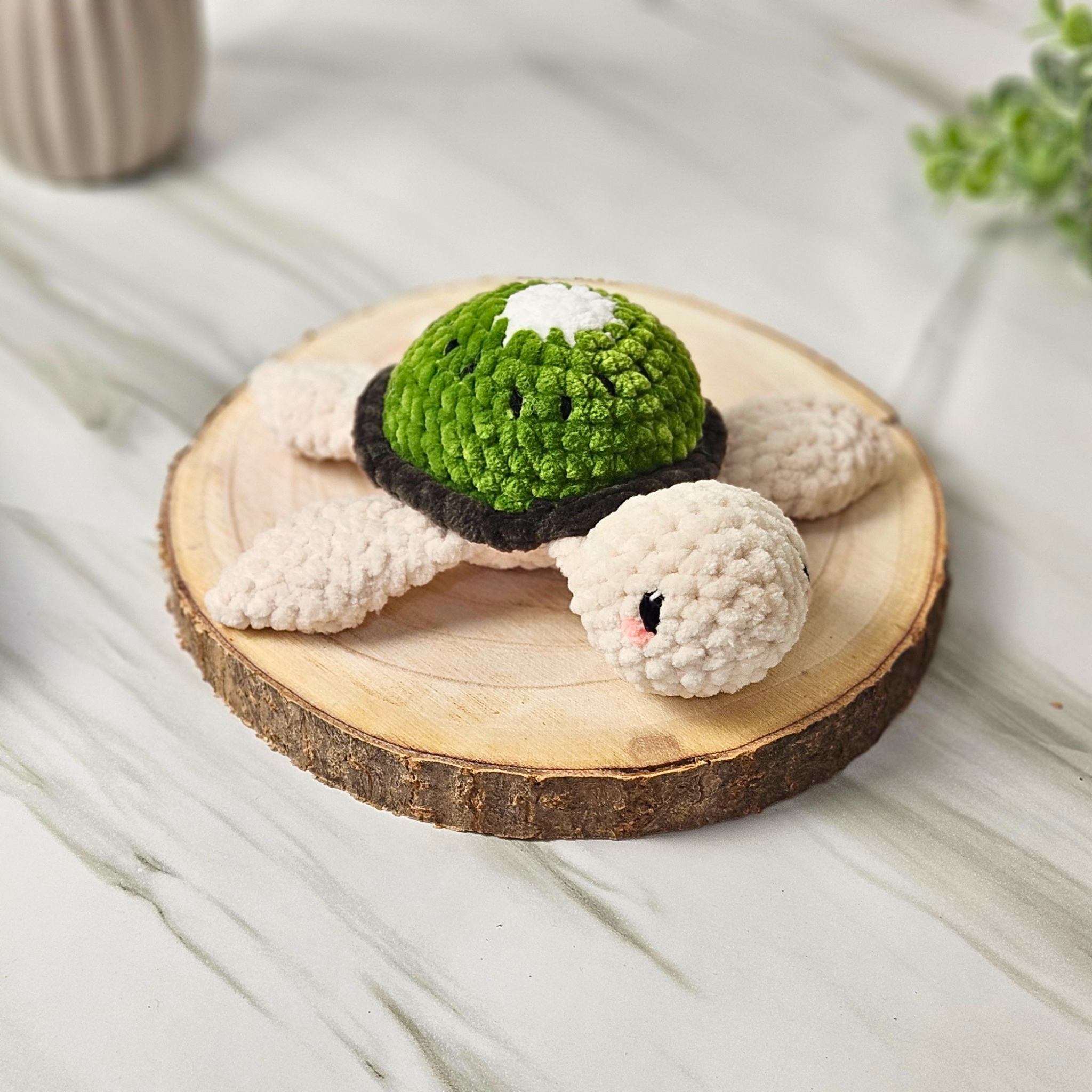 Kiwi-Schildkröte