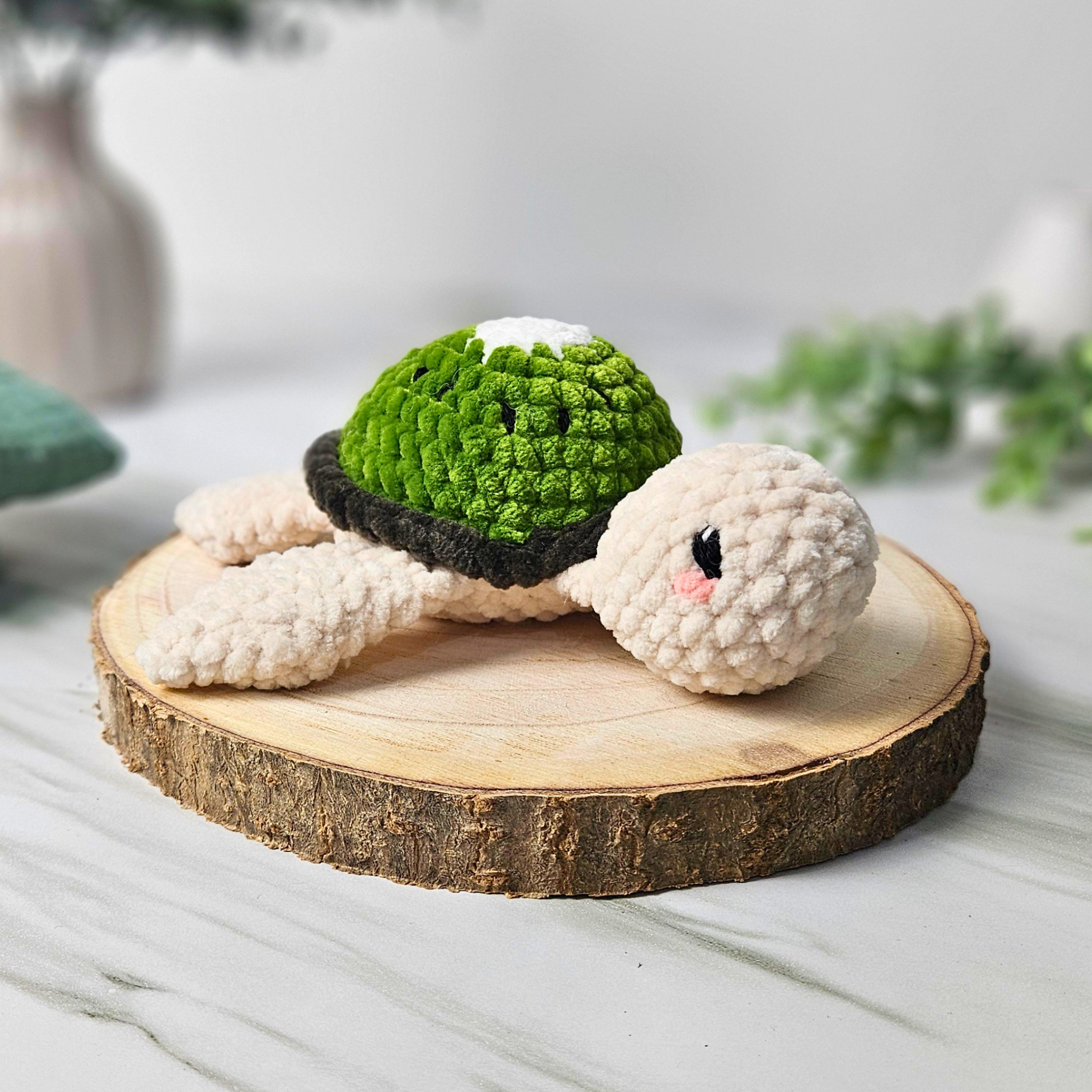 Kiwi-Schildkröte