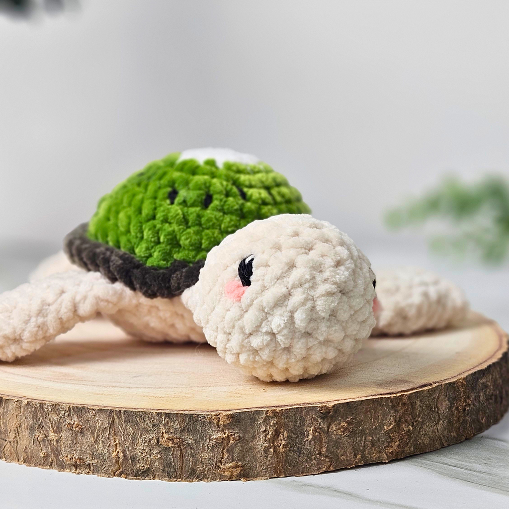 Kiwi-Schildkröte