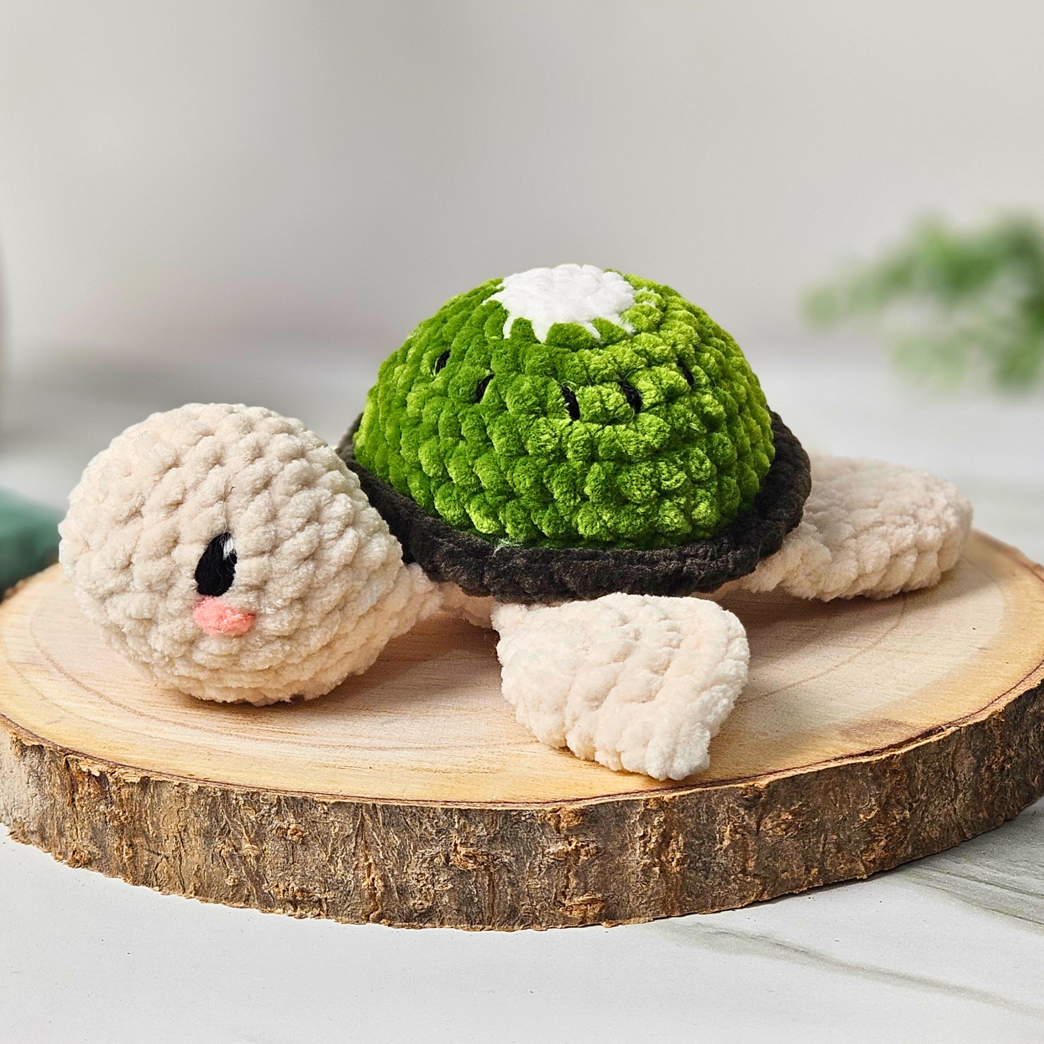 Kiwi-Schildkröte